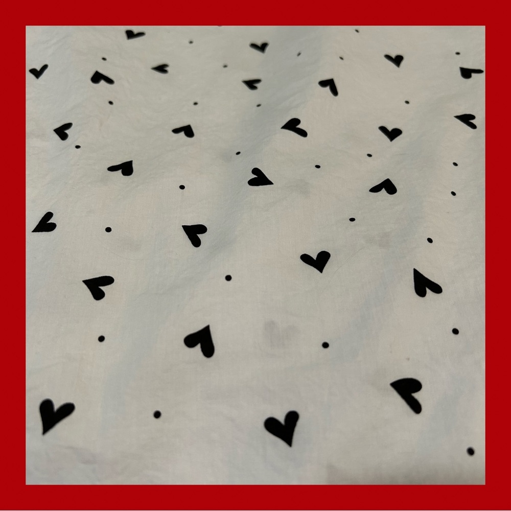 NWT! White Birch + size 3X. Oxford Button up w/ hearts and dots. Front Pockets - Picture 7 of 15